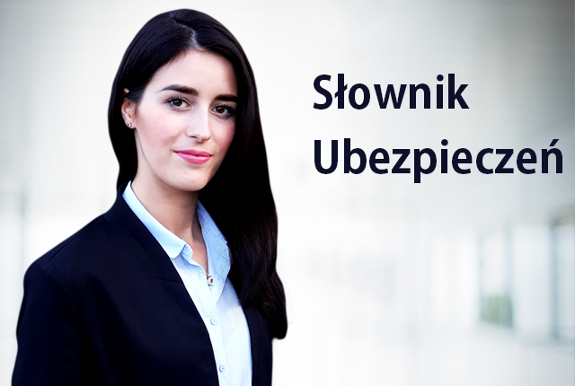 Słownik ubezpieczeń